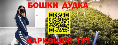 мяу мяу мука Абакан